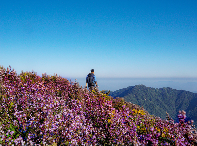 Trekking mùa hoa Chi Pâu phủ sắc tím khắp Tà Chì Nhù 2