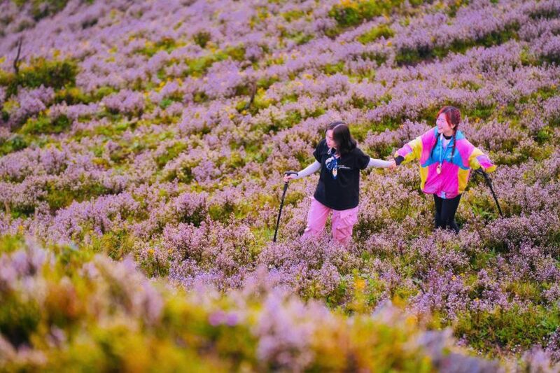 Trekking mùa hoa Chi Pâu phủ sắc tím khắp Tà Chì Nhù 4