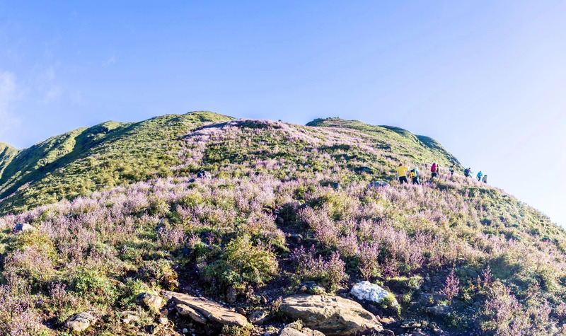 Trekking mùa hoa Chi Pâu phủ sắc tím khắp Tà Chì Nhù 8