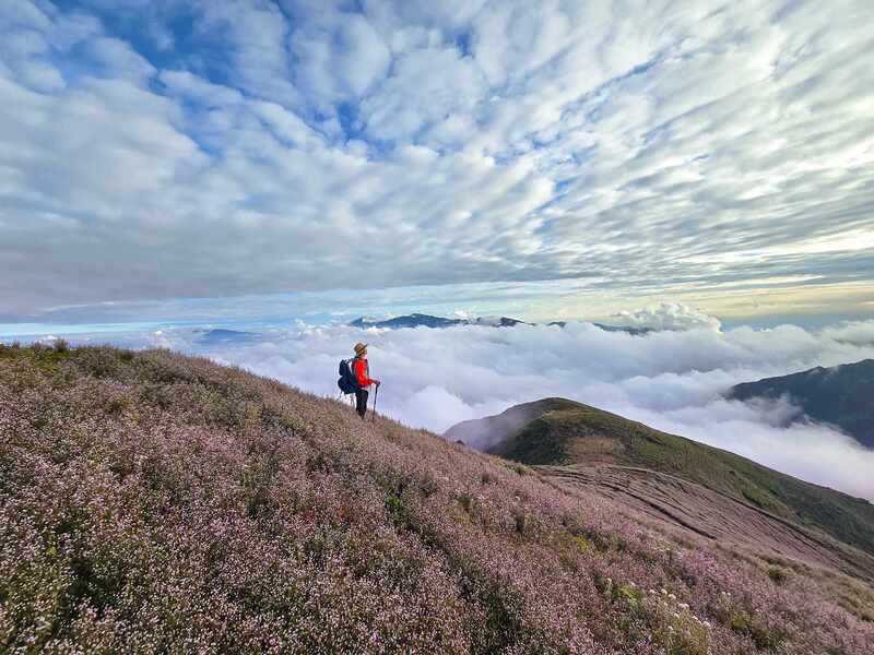 Trekking mùa hoa Chi Pâu phủ sắc tím khắp Tà Chì Nhù 18
