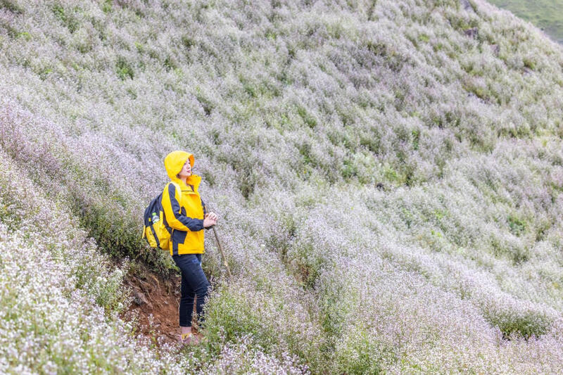 Trekking mùa hoa Chi Pâu phủ sắc tím khắp Tà Chì Nhù 19