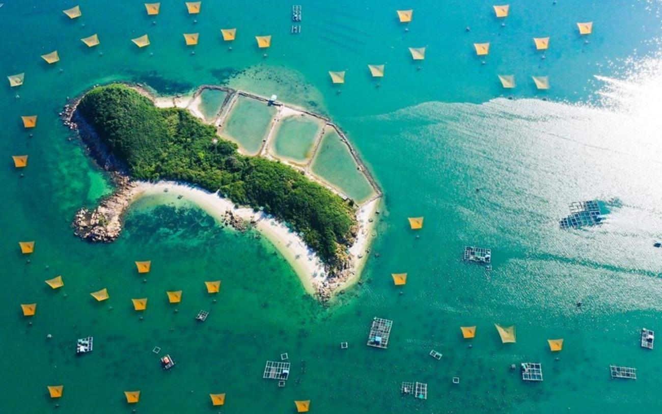 Hoà Lợi Resort Phú Yên nhỏ xinh bên bờ biển xanh 9