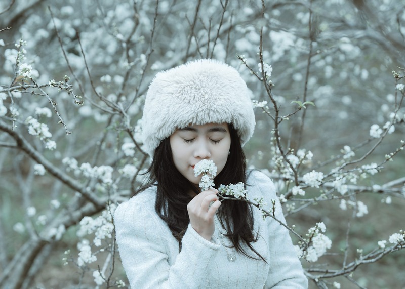 Hoa mận Tây Bắc mang hơi thở mùa xuân giữa đại ngàn 8