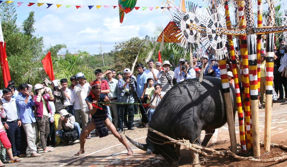 Hòa mình vào Lễ hội đâm trâu cực nhộn nhịp tại Gia Lai 6