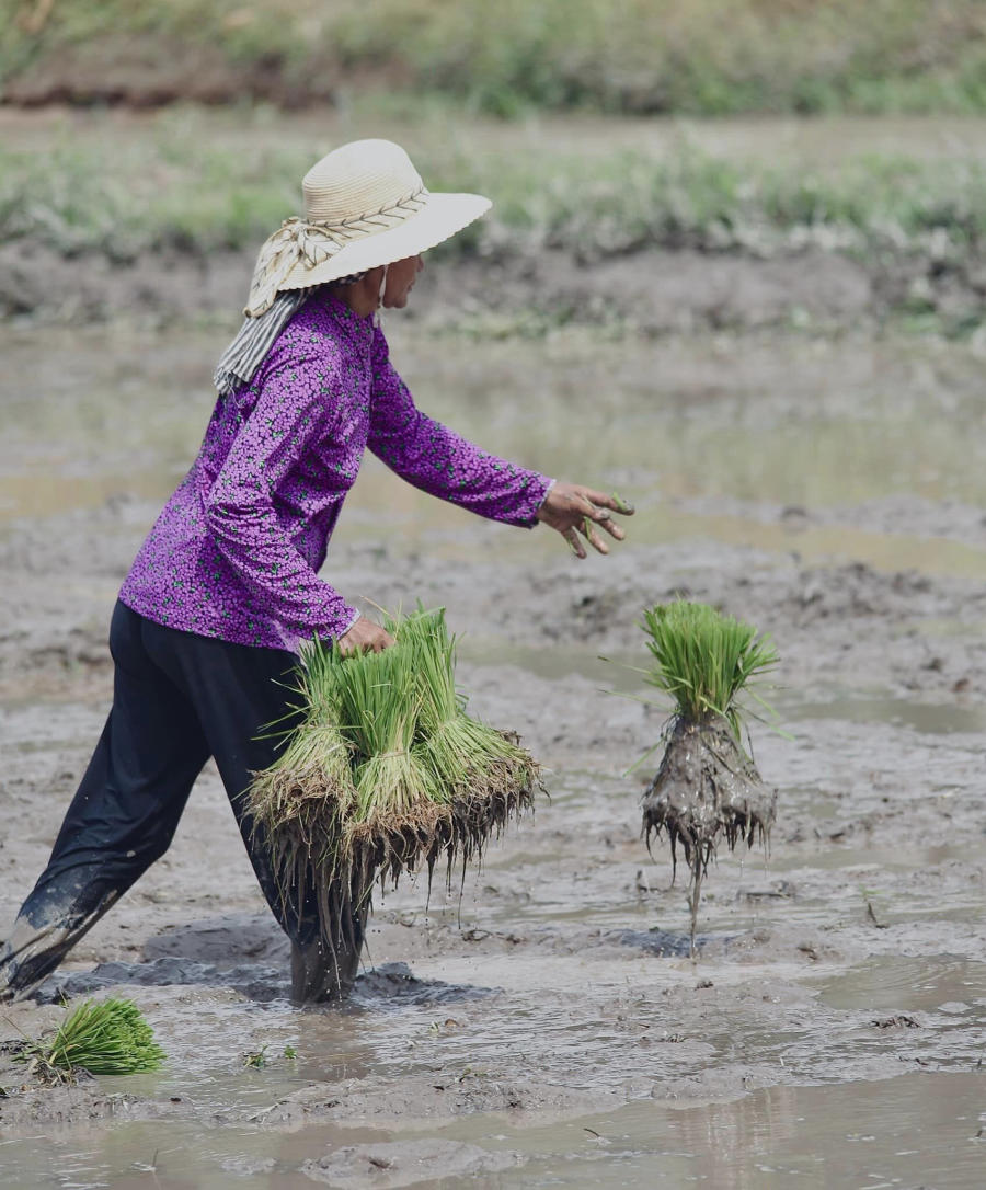 Hòa mình vào Tết cổ truyền Senl Donta độc đáo của người Khmer 2