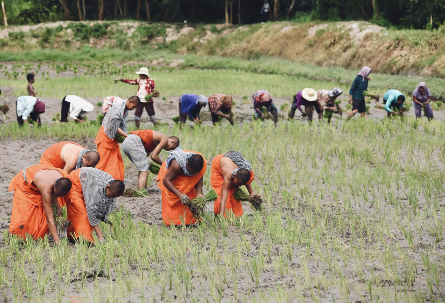 Hòa mình vào Tết cổ truyền Senl Donta độc đáo của người Khmer 4