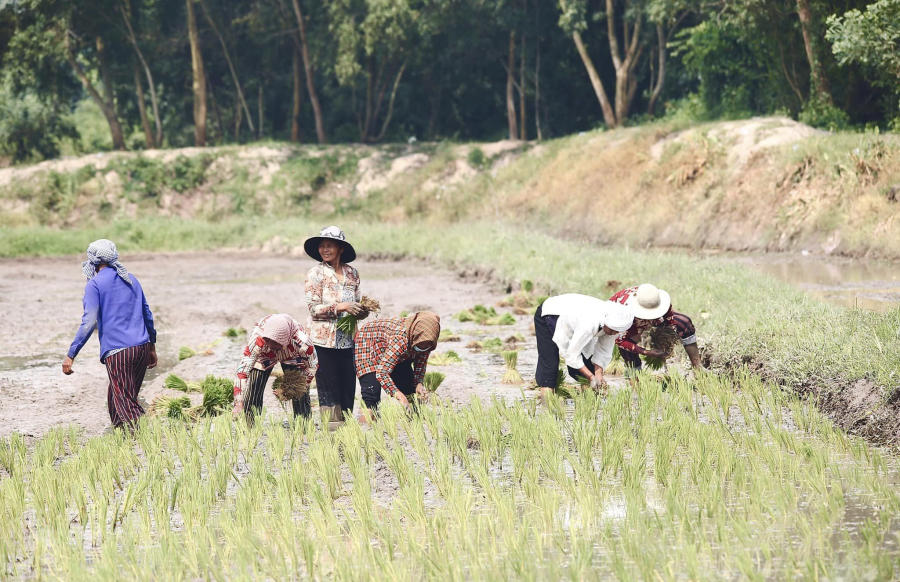 Hòa mình vào Tết cổ truyền Senl Donta độc đáo của người Khmer 11