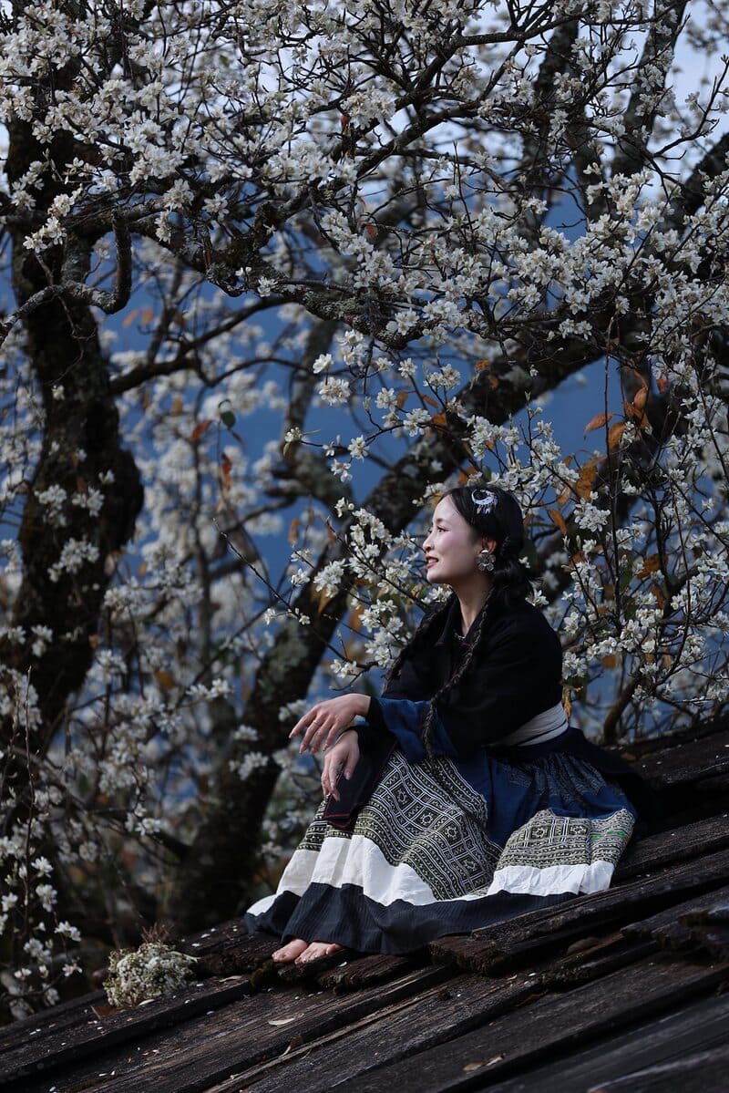 Vẻ đẹp tinh khôi của hoa sơn tra giữa núi rừng Tây Bắc 6