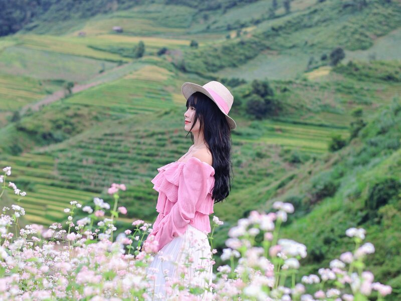 Chiêm ngưỡng hoa tam giác mạch biểu tượng Tây Bắc tại Mù Cang Chải 5