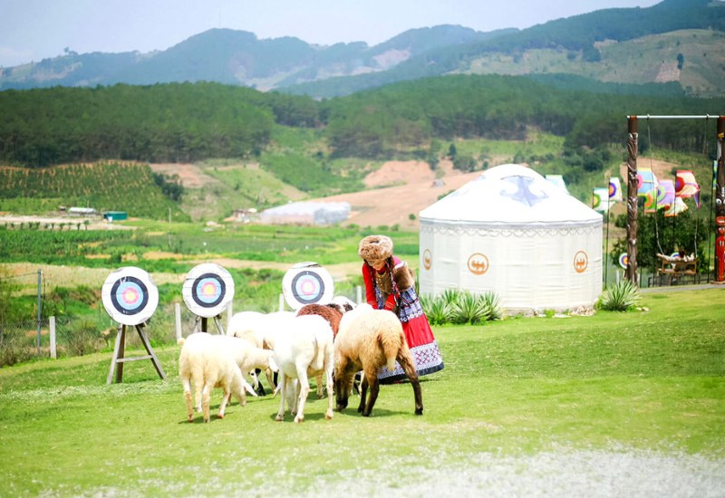 Mongo Land Dalat: Review A - Z giá vé và hoạt động vui chơi 6