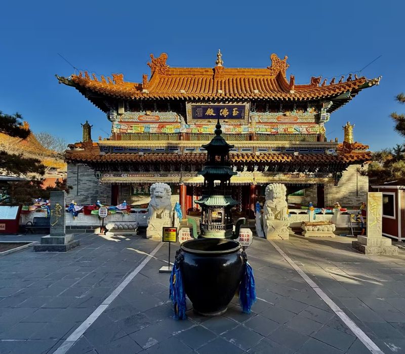 Du lịch Hohhot, hành trình chạm tay vào giấc mơ du mục 5