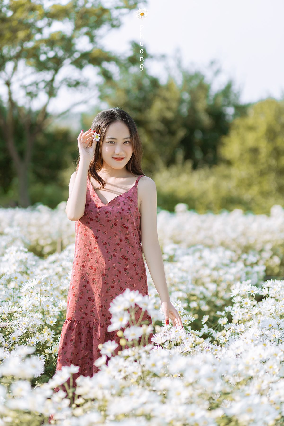 Set Đồ Nữ Aó Thun Cotton Phối Chân Váy Đũi Họa Tiết Bông Cúc Họa Mi Cực Kì  Xinh Xắn QCS | Shopee Việt Nam