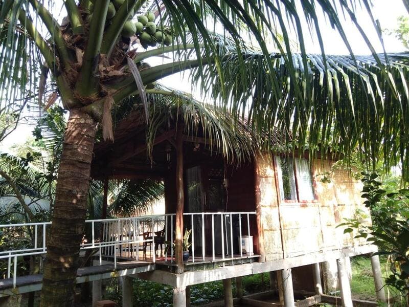 Top homestay Bến Tre với không gian sân vườn độc đáo 8