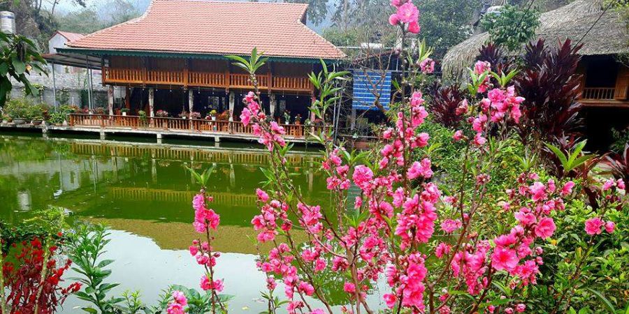 Homestay Bui Ty Hà Giang, làng quê thu nhỏ giữa cao nguyên đá 7