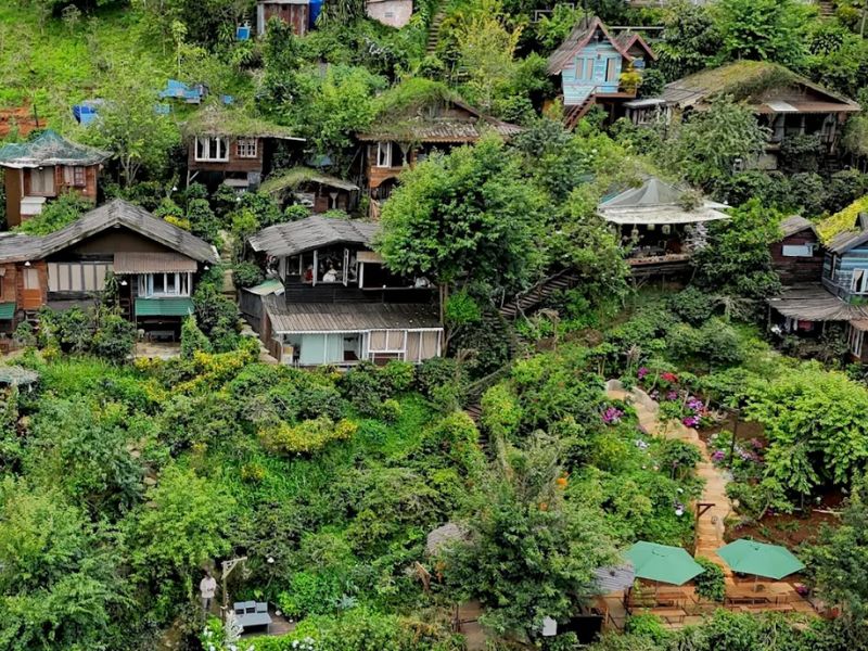 23 homestay Đà Lạt view cực chill cho team đam mê sống ảo 15