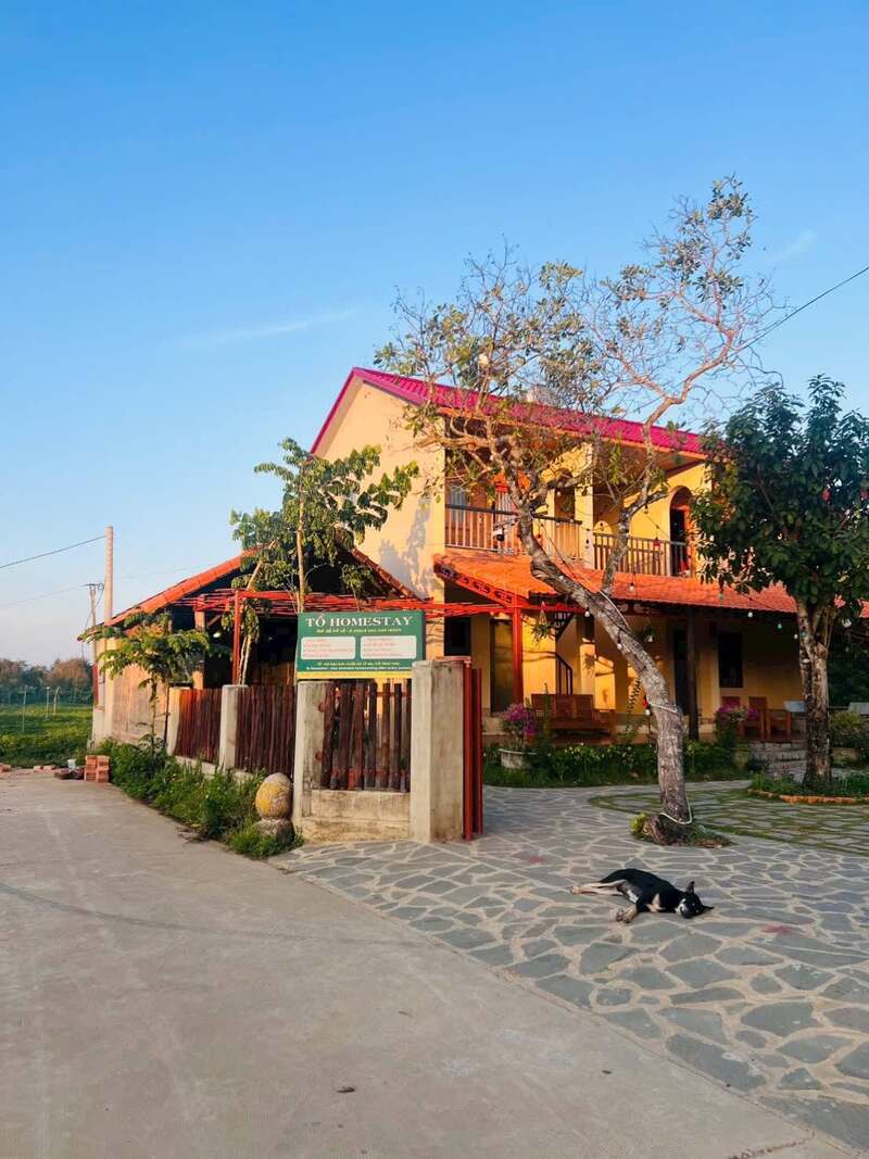 Kinh nghiệm trốn phố về rừng với 6 homestay Đồng Nai đáng thử nhất 7