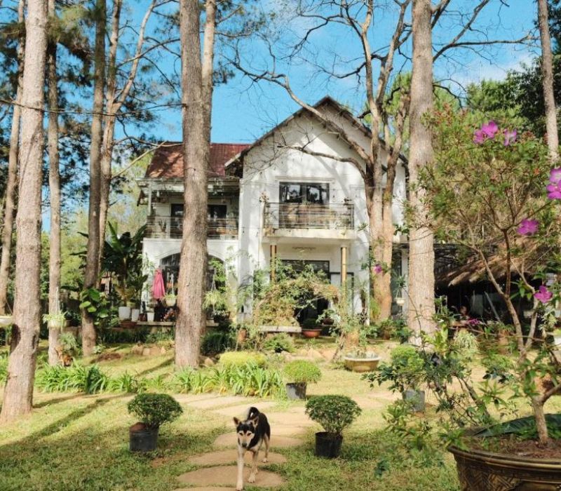 Top 10 homestay Măng Đen được check-in nhiều nhất mạng xã hội 7