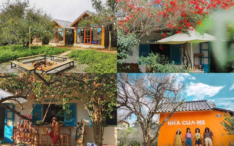 Review 15 homestay Mộc Châu đẹp, giá hợp lý, view núi cực chill 6