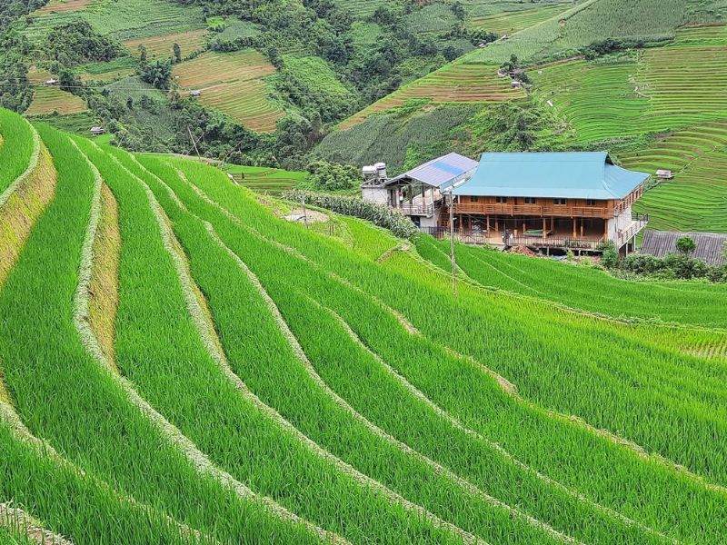 10 homestay Mù Cang Chải cho người thích ngắm núi và ruộng bậc thang 6