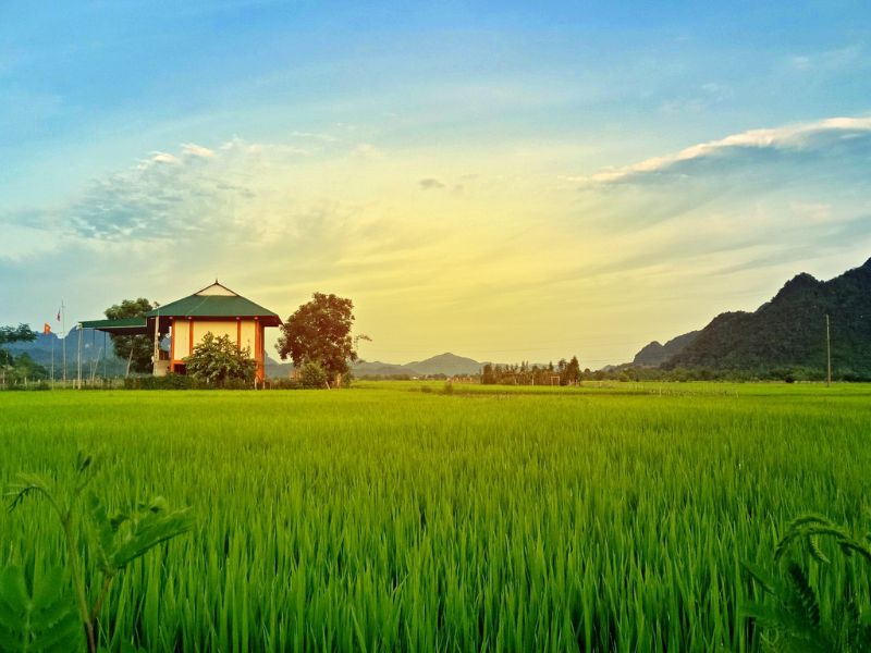 Top 8 homestay ở Vinh đẹp, giá hợp lý cho chuyến du lịch xứ Nghệ 9