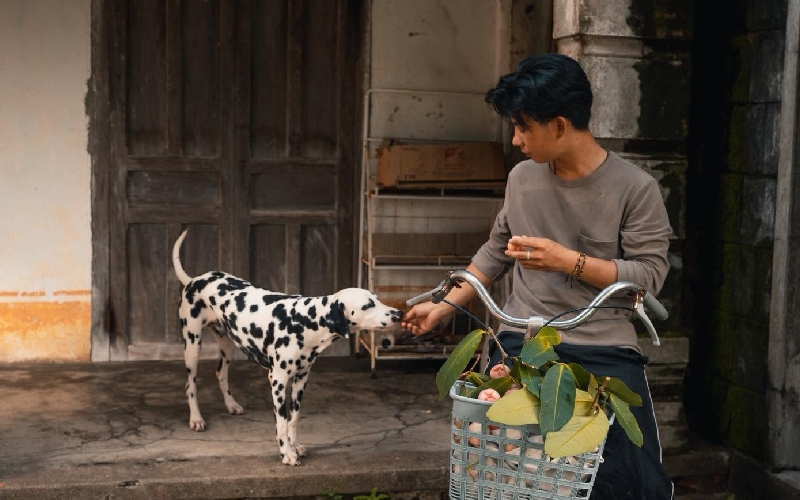Top 20 homestay Phú Yên view biển, giá rẻ cực xịn (cập nhật 06.26) 13
