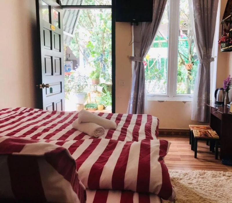 Homestay Vườn Tùng Đà Lạt: Trải nghiệm nghỉ dưỡng yên bình 7