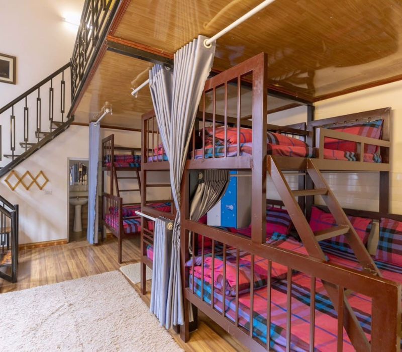 Homestay Vườn Tùng Đà Lạt: Trải nghiệm nghỉ dưỡng yên bình 8