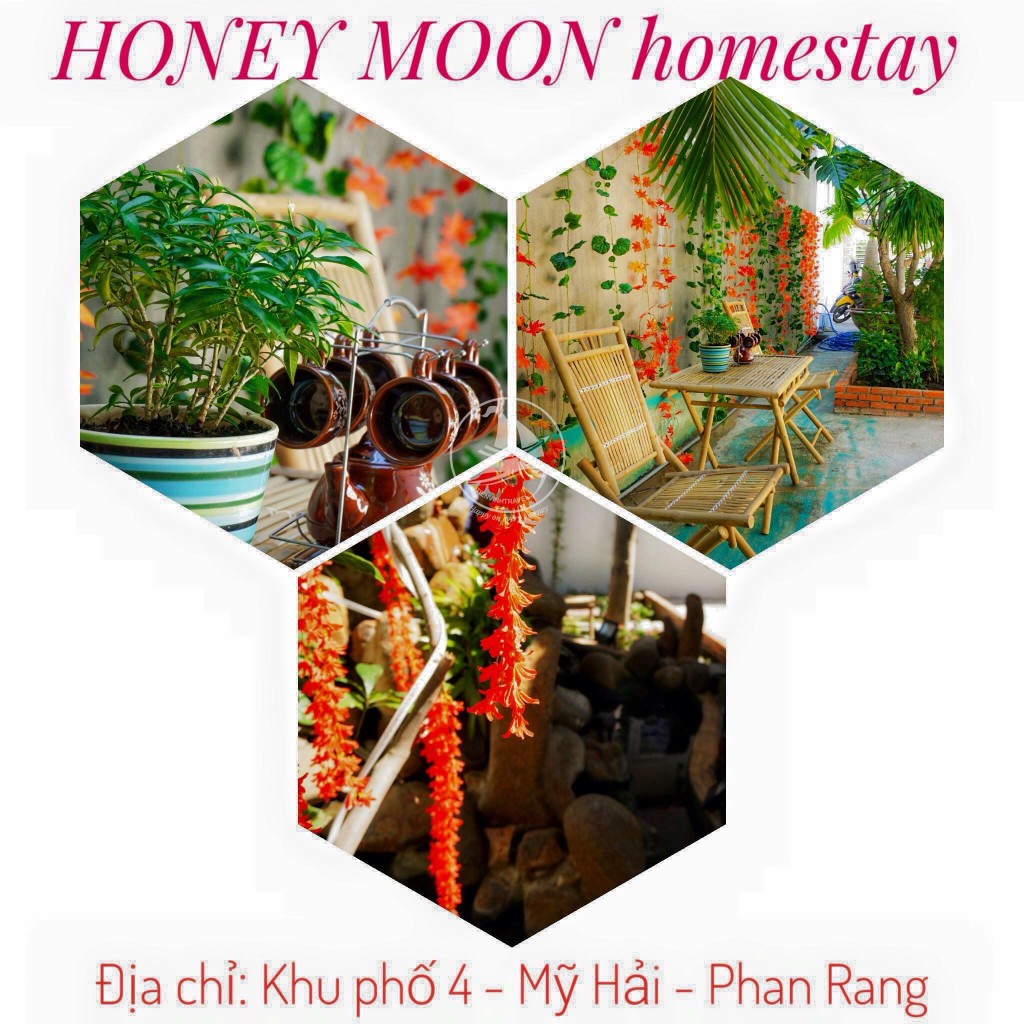 Honey Moon homestay, góc nhỏ bình yên và ngọt ngào tại Ninh Thuận 2