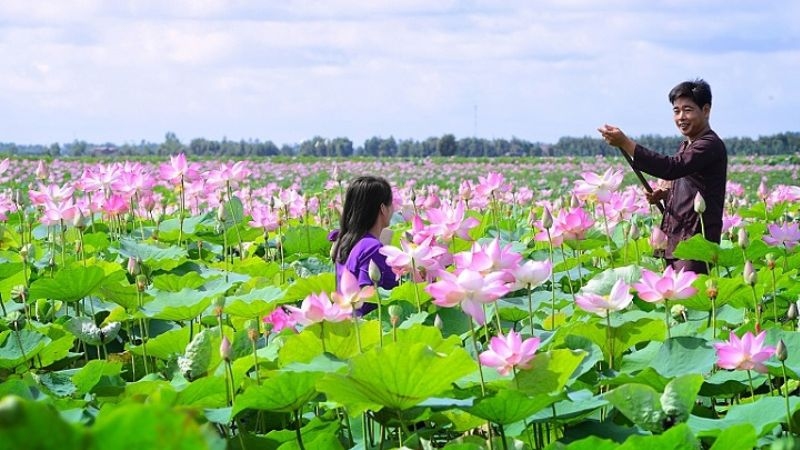 Khám phá Hồng Ngự Đồng Tháp mùa nước nổi 11