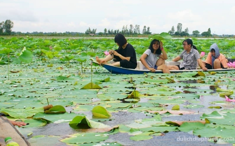 Khám phá Hồng Ngự Đồng Tháp mùa nước nổi 3