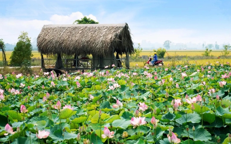 Khám phá Hồng Ngự Đồng Tháp mùa nước nổi 5