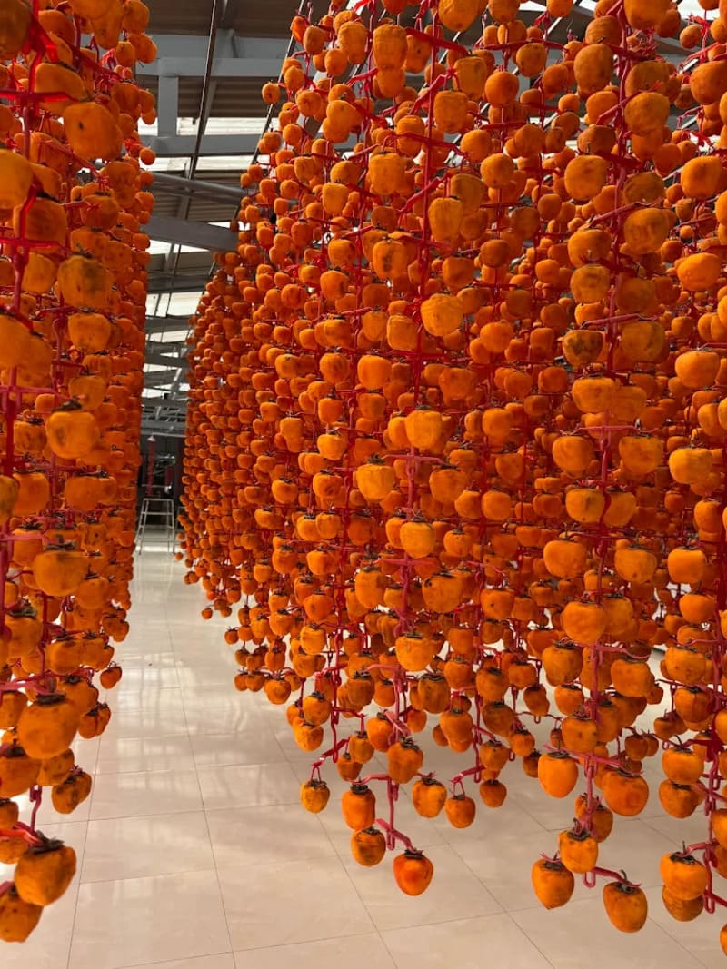 Hồng treo gió Đà Lạt: Thức quà đặc sản đầy hoài niệm về xứ mộng mơ 6