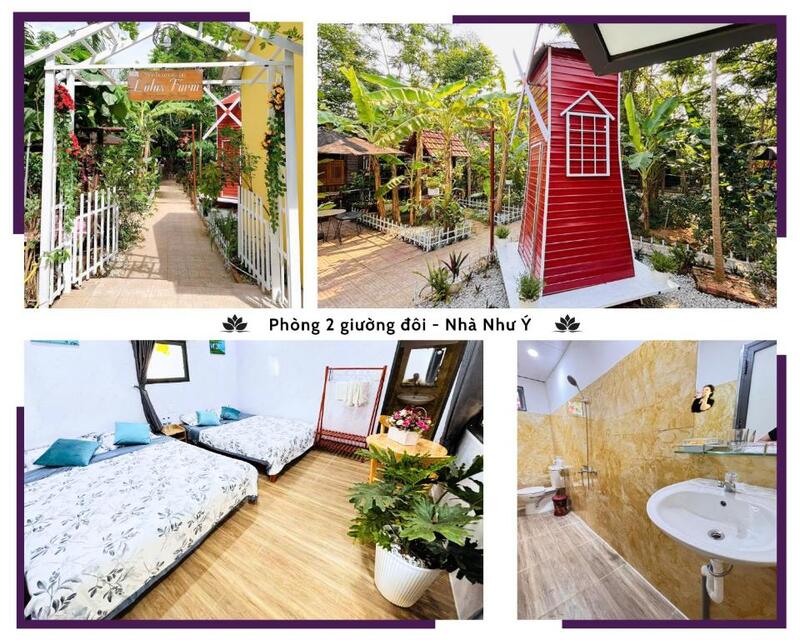 Đến Hue Lotus Homestay khám phá ngôi nhà nhỏ bình yên 8