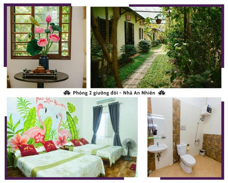 Đến Hue Lotus Homestay khám phá ngôi nhà nhỏ bình yên 7