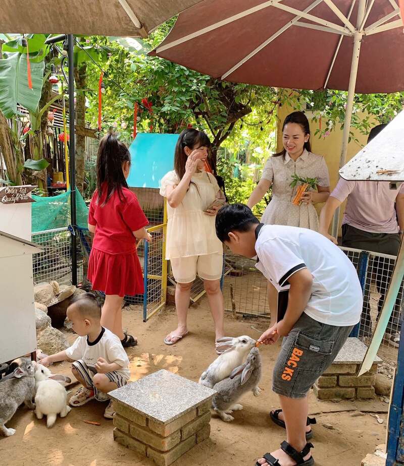 Đến Hue Lotus Homestay khám phá ngôi nhà nhỏ bình yên 10