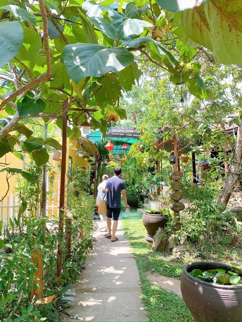 Đến Hue Lotus Homestay khám phá ngôi nhà nhỏ bình yên 11