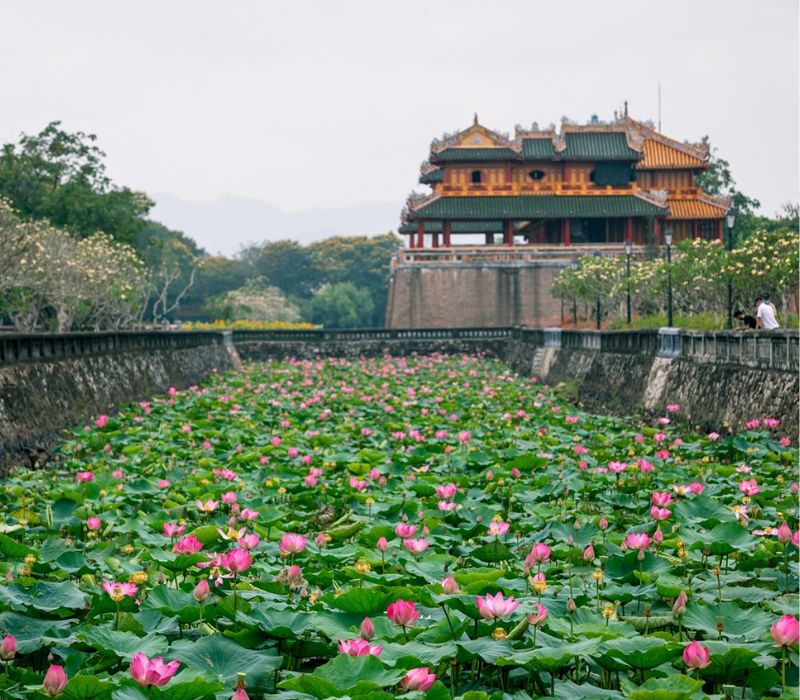 Du lịch Huế tháng 5: Hành trình về cố đô những ngày hè rực rỡ 3