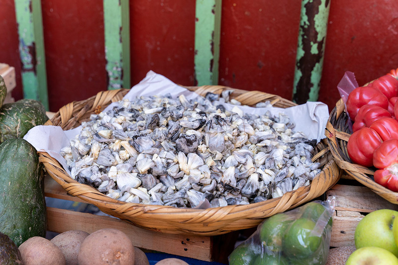 Huitlacoche, loại nấm mốc được coi như tinh hoa ẩm thực Mexico 9