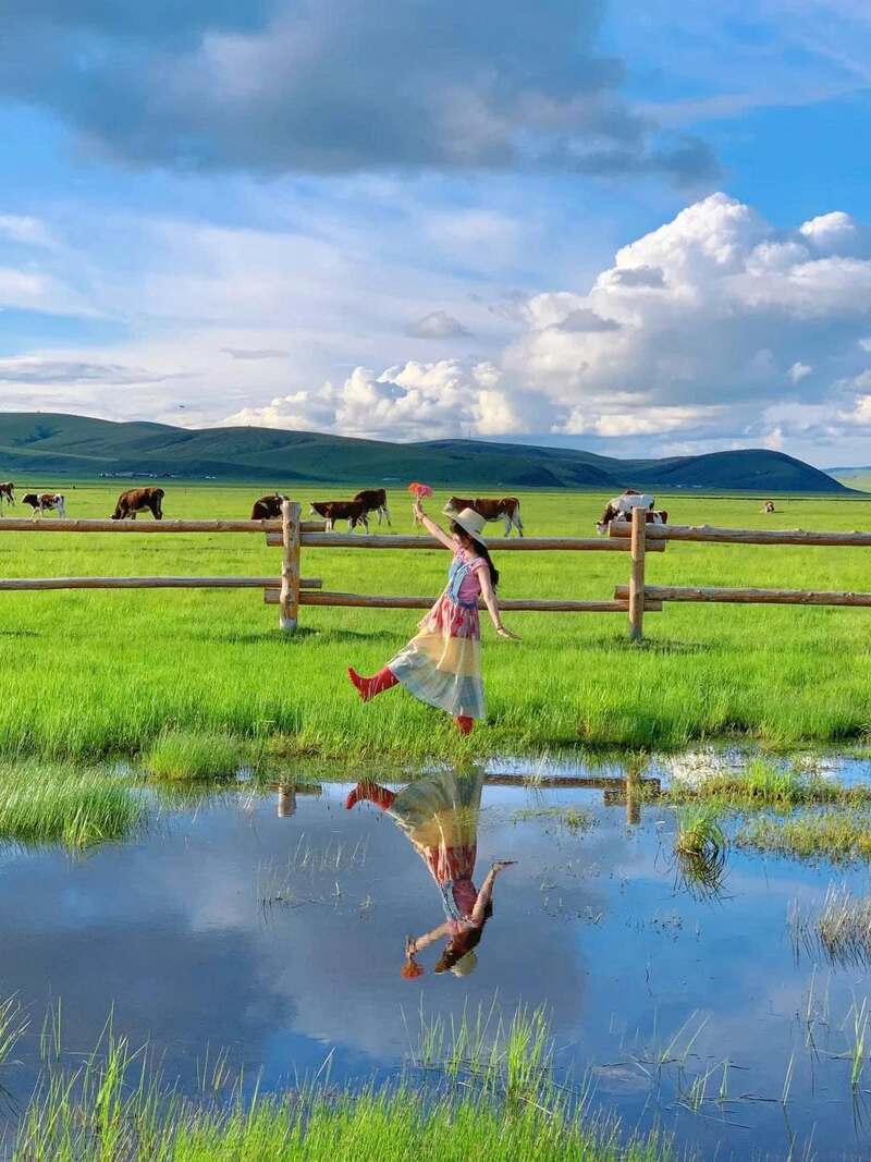 Hulunbuir, nơi thảo nguyên rộng mở tựa thiên đường 11