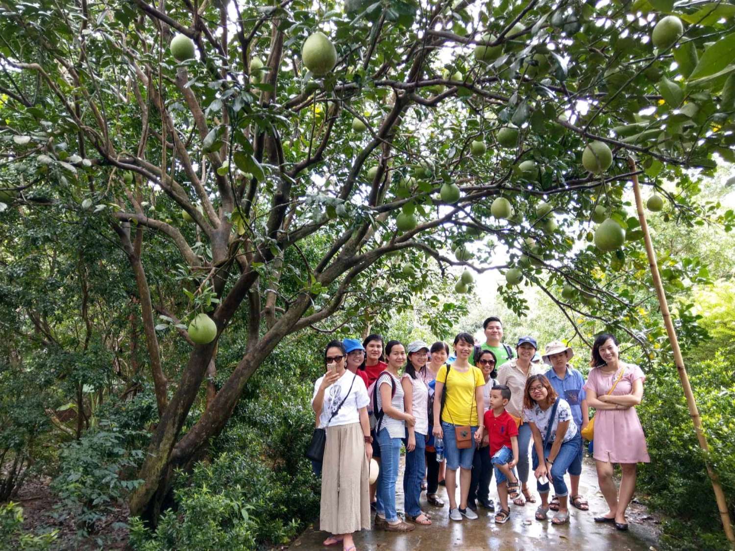 Hướng dẫn đường đi vườn trái cây Vĩnh Kim 2
