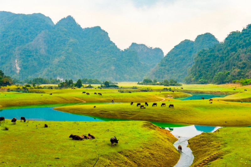 Visit Huu Lung Lang Son to discover the beauty of the Northern midlands 2