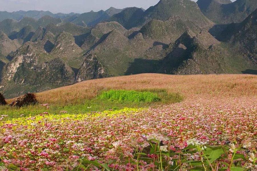 Huy Hoang Hotel, khách sạn trung tâm giá rẻ tại Hà Giang 9