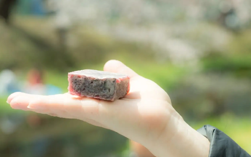 Du lịch Hyogo có gì? Top điểm đến và đặc sản không thể bỏ lỡ 10