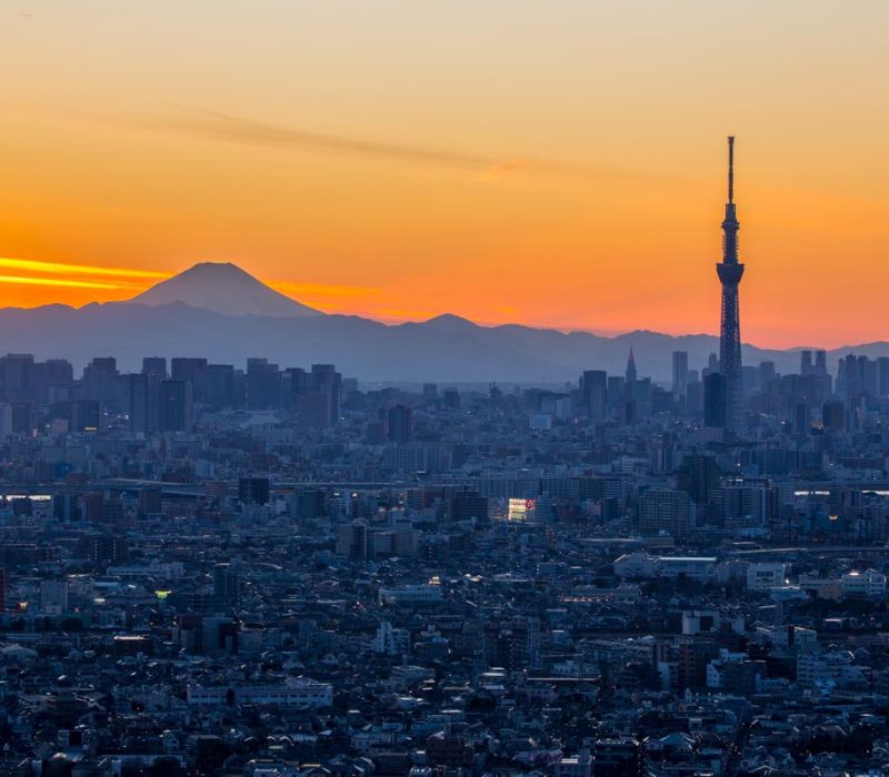 Cùng mình khám phá Ichikawa, thành phố đa văn hoá 2