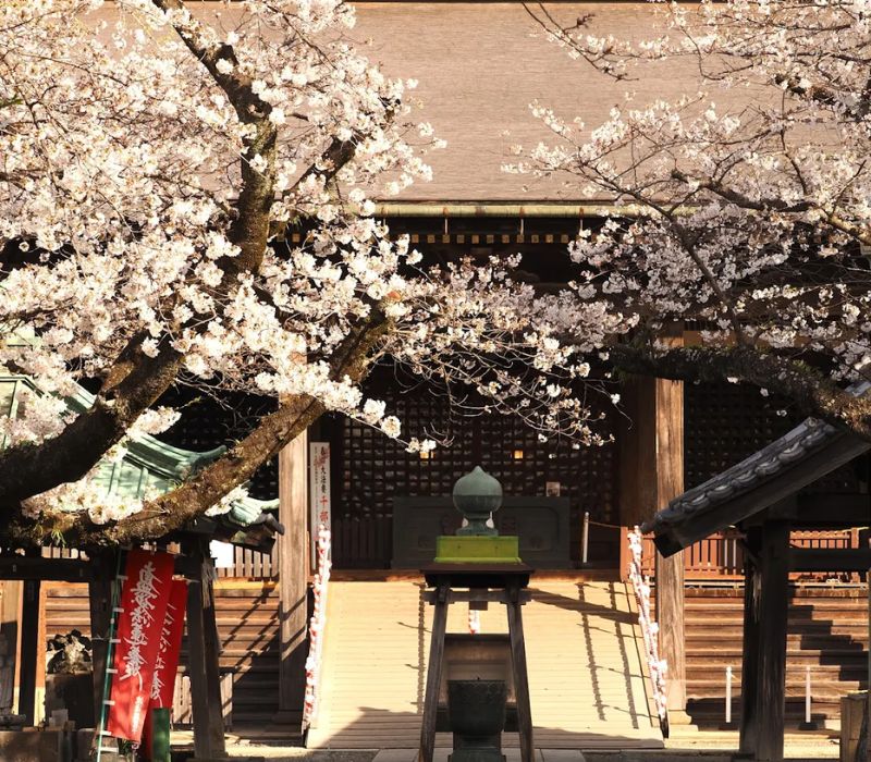 Cùng mình khám phá Ichikawa, thành phố đa văn hoá 4