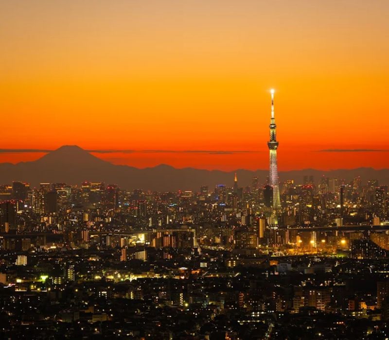 Cùng mình khám phá Ichikawa, thành phố đa văn hoá 5