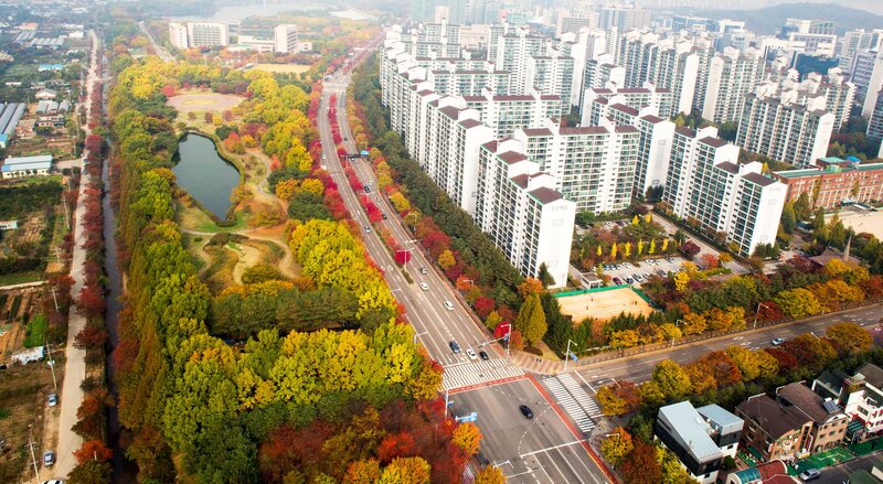 Du lịch Ilsan: Tìm về không gian lãng mạn của thảm xanh yên bình 3