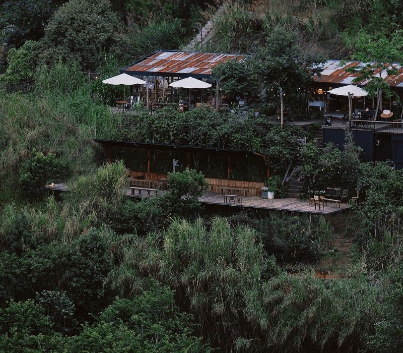 In The Forest Đà Lạt: Quán cafe giữa rừng thông độc đáo 2