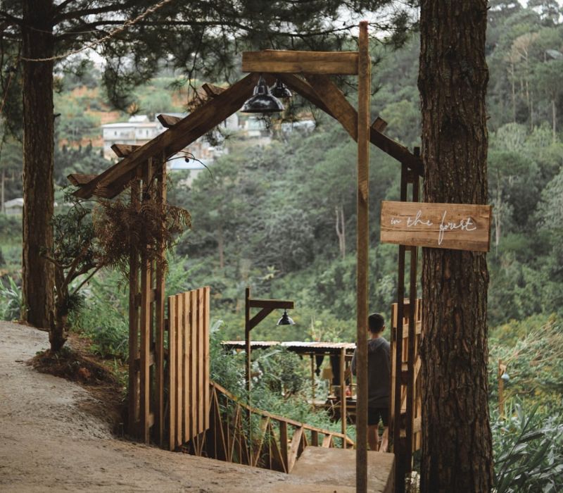 In The Forest Đà Lạt: Quán cafe giữa rừng thông độc đáo 3