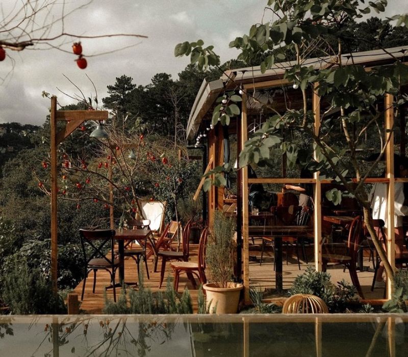 In The Forest Đà Lạt: Quán cafe giữa rừng thông độc đáo 4